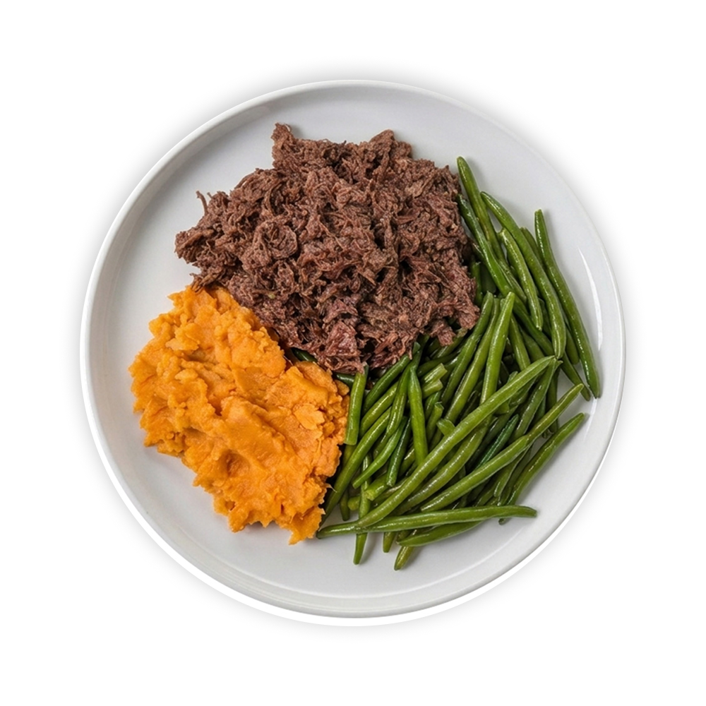 Slow-Cooked Pulled Beef (GF/DF)