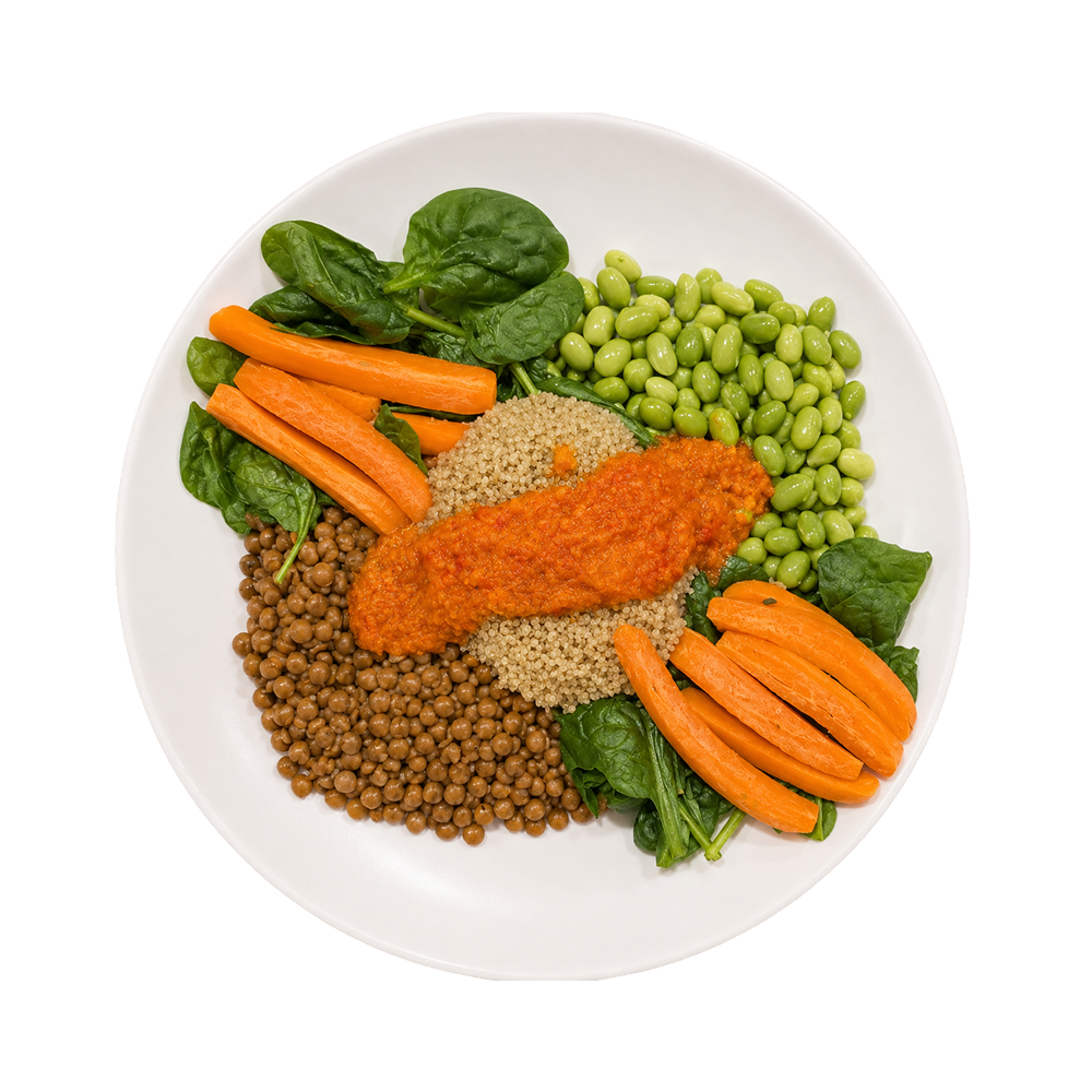 Moroccan Lentil & Edamame Bowl (VG)