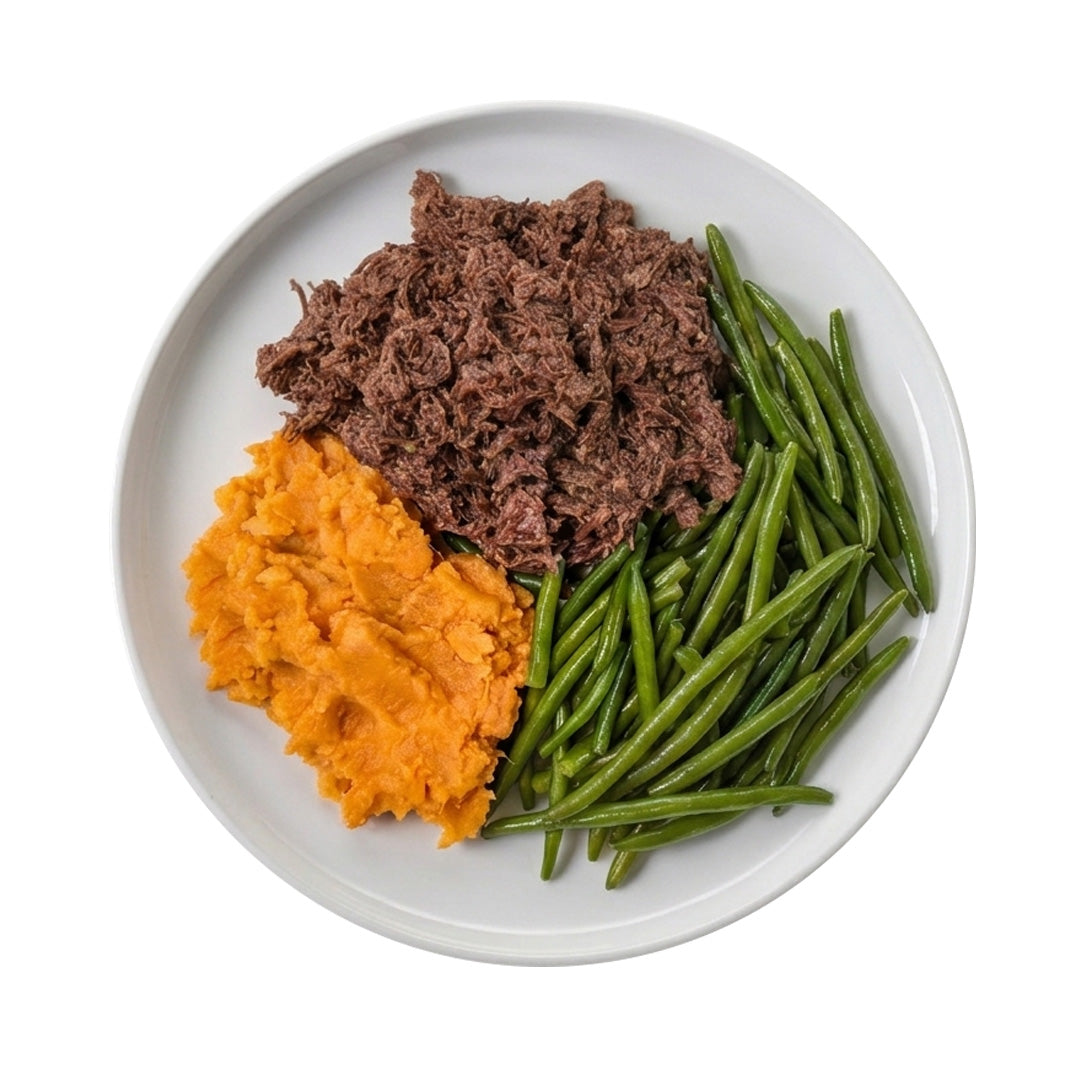 Slow-Cooked Pulled Beef (gf/df)
